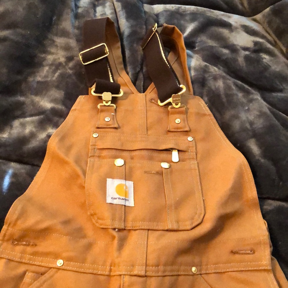 Carhartt quilt lined insulated Bibs size 30 x 30